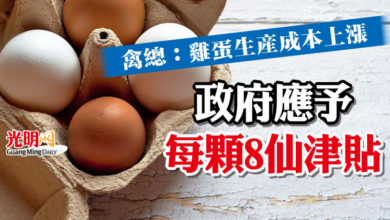 Photo of 禽總：雞蛋生產成本上漲 政府應予每顆8仙津貼