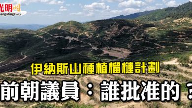 Photo of 伊納斯山種植榴槤計劃 前朝議員：誰批准的？