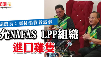 Photo of 副農長：應付消費者需求  允NAFAS LPP組織進口雞隻