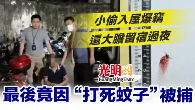 Photo of 小偷入屋爆竊還大膽留宿過夜 最後竟因“打死蚊子”被捕