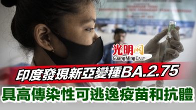 Photo of 印度發現新亞變種BA.2.75 具高傳染性 可逃逸疫苗和抗體