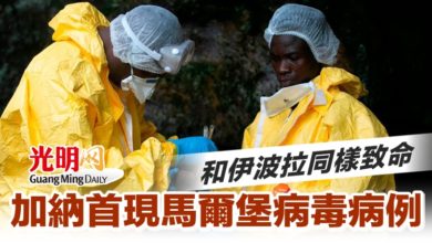 Photo of 和伊波拉同樣致命 加納首現馬爾堡病毒病例