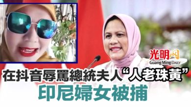 Photo of 在抖音辱罵總統夫人“人老珠黃” 印尼婦女被捕