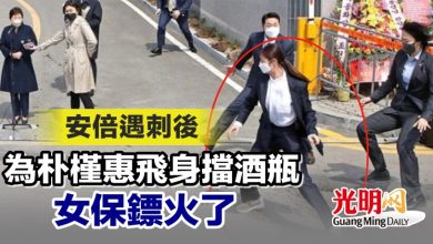 Photo of 安倍遇刺後 為朴槿惠飛身擋酒瓶女保鏢火了