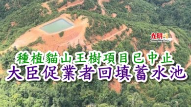 Photo of 種植貓山王樹項目已中止 大臣促業者回填蓄水池