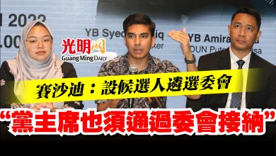 Photo of 賽沙迪：設候選人遴選委會  “黨主席也須通過委會接納”