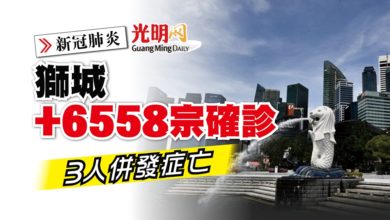 Photo of 【新冠肺炎】獅城+6558確診 增3併發症死亡