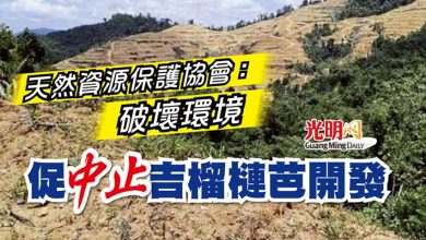 Photo of 天然資源保護協會：破壞環境  促中止吉榴槤芭開發