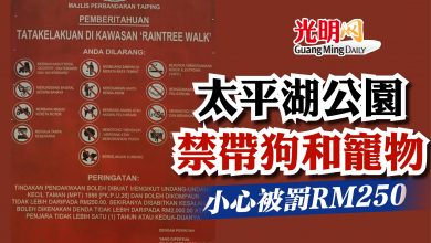 Photo of 太平湖公園禁帶狗和寵物  小心被罰RM250