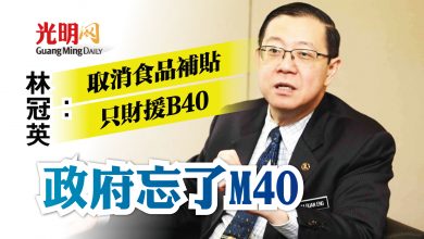 Photo of 林冠英：取消食品補貼只財援B40 政府忘了M40
