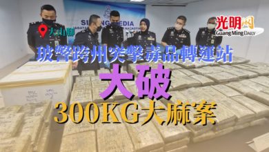 Photo of 玻警跨州突擊毒品轉運站 大破300KG大麻案