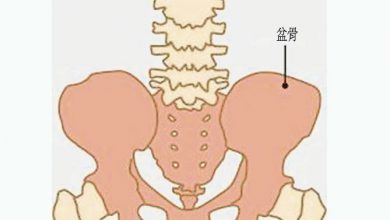 Photo of 【醫言有理】骨髓與脊髓有別