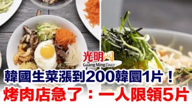 Photo of 韓國生菜漲到200韓圜1片！烤肉店急了：一人限領5片