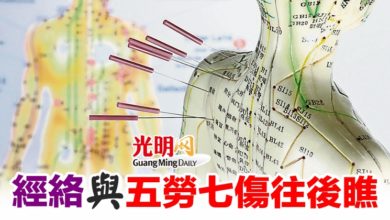 Photo of 【中氣十足 】經絡與五勞七傷往後瞧