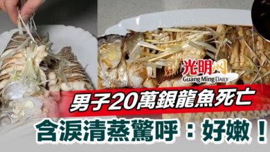 Photo of 男子20萬銀龍魚死亡 含淚清蒸驚呼：好嫩！