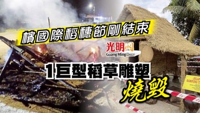 Photo of 檳國際稻穗節剛結束 1巨型稻草雕塑燒毀