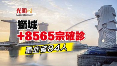 Photo of 【新冠肺炎】獅城+8565確診 重症者84人