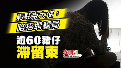 Photo of 馬駐柬大使：陷招聘騙局 逾60豬仔滯留柬