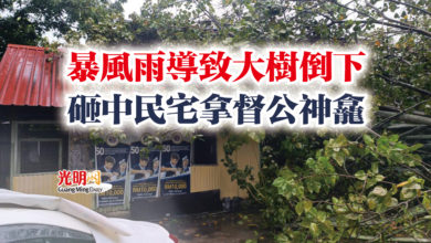 Photo of 暴風雨導致大樹倒下 砸中民宅拿督公神龕