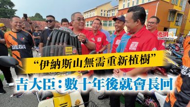 Photo of “伊納斯山無需重新植樹”  吉大臣：數十年後就會長回