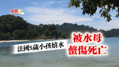 Photo of 法國5歲小孩嬉水  被水母螫傷死亡