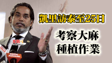Photo of 凱里訪泰至25日  考察大麻種植作業