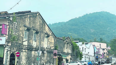 Photo of 【自遊自在】有山有水金宝地