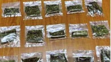 Photo of 3街頭藝人種賣大麻 交怡警檢舉逮捕