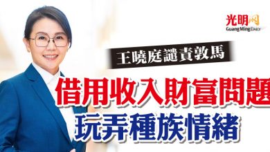 Photo of 王曉庭譴責敦馬 借用收入財富問題玩弄種族情緒