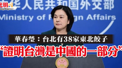Photo of 華春瑩：台北有38家東北餃子 “證明台灣是中國的一部分”