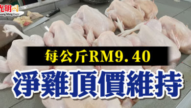 Photo of 每公斤RM9.40  淨雞頂價維持