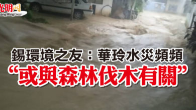 Photo of 錫環境之友：華玲水災頻頻  “或與森林伐木有關”