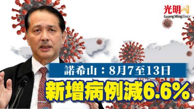 Photo of 諾希山：8月7至13日  新增病例減6.6%