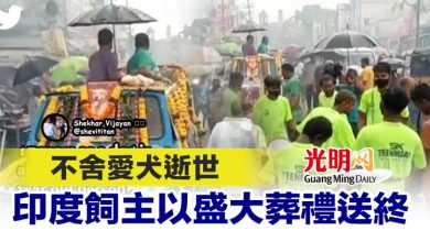 Photo of 不舍愛犬逝世 印度飼主以盛大葬禮送終