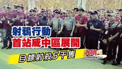 Photo of “射鴉行動”首站威中區展開 目標射殺5千隻
