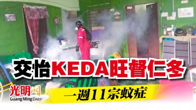 Photo of 交怡KEDA旺督仁冬 一週11宗蚊症