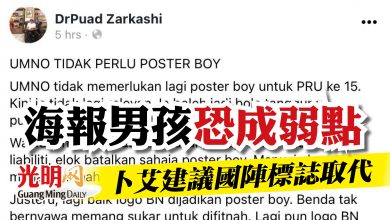 Photo of 海報男孩 恐成 弱點   卜艾建議國陣標誌取代