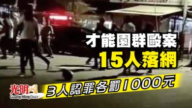 Photo of 才能園群毆案15人落網 3人認罪各罰1000元