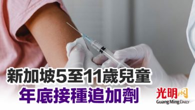 Photo of 新加坡5至11歲兒童年底接種追加劑