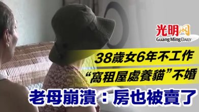 Photo of 38歲女6年不工作 “窩租屋處養貓”不婚 老母崩潰：房也被賣了