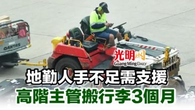 Photo of 地勤人手不足需支援 高階主管搬行李3個月