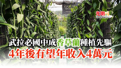 Photo of 武拉必國中成為香草蘭種植先驅 4年後有望年收入4萬元