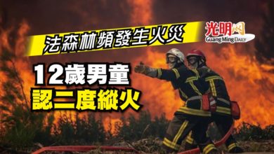 Photo of 法森林頻發生火災 12歲男童認二度縱火
