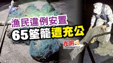 Photo of 漁民違例安置 65筌籠遭充公
