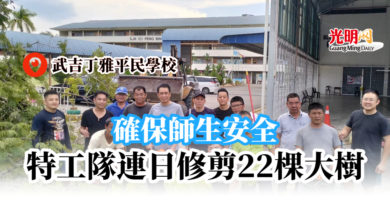 Photo of 確保師生安全 平民特工隊修剪22棵大樹