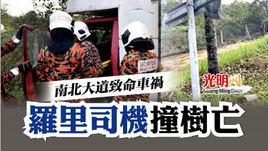 Photo of 南北大道致命車禍 羅里司機撞樹亡