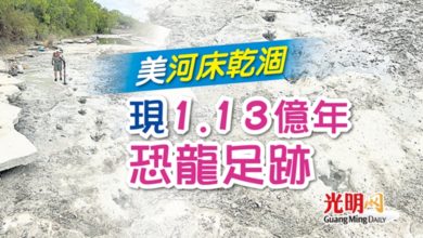 Photo of 美河床乾涸 現1.13億年恐龍足跡