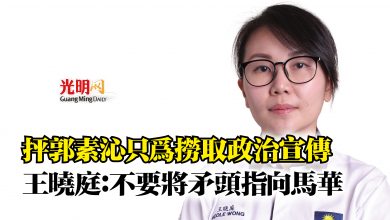 Photo of 抨郭素沁只為撈取政治宣傳  王曉庭：不要將矛頭指向馬華