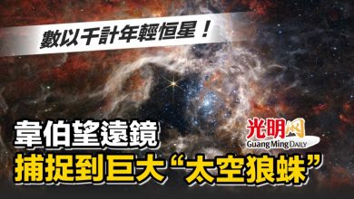 Photo of 數以千計年輕恒星！ 韋伯望遠鏡捕捉到巨大“太空狼蛛”