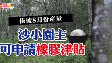 Photo of 依據8月份產量  沙小園主可申請橡膠津貼